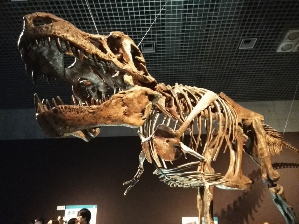 恐竜博２０１６　ティラノサウルス