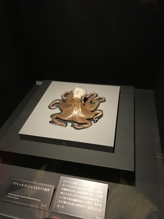 大英自然史博物館展　ブラシュカ（父子）によるガラス模型
