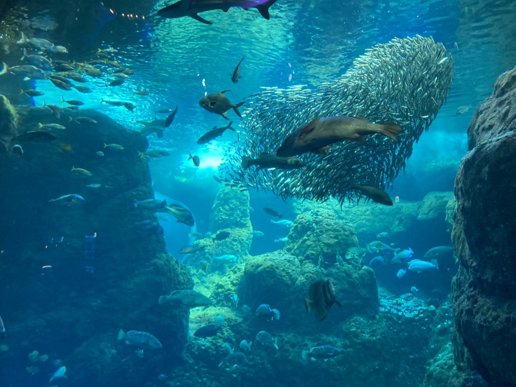 江の島水族館