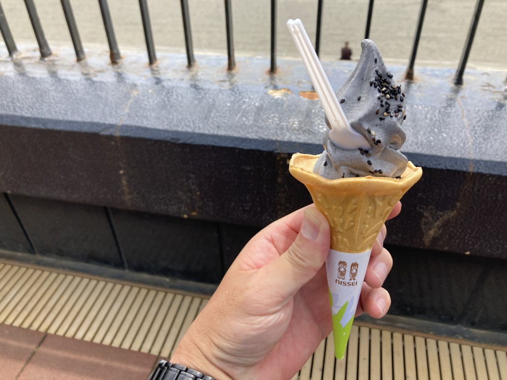 江の島水族館 アザラシソフト