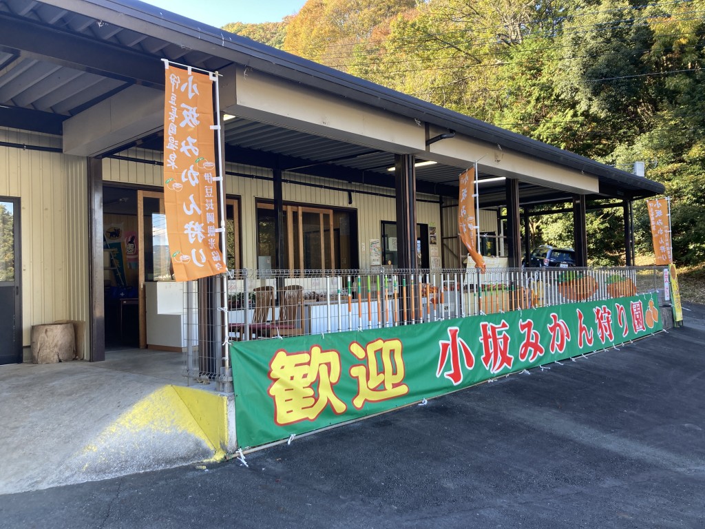小坂みかん農園