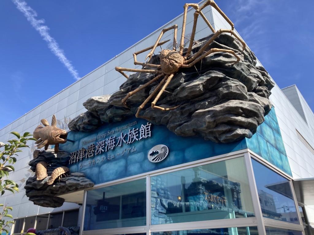 沼津港深海水族館