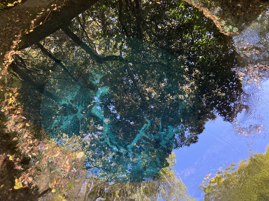 柿田川公園 第二展望台