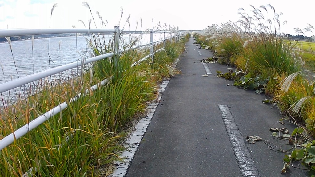 涸沼サイクリングロード