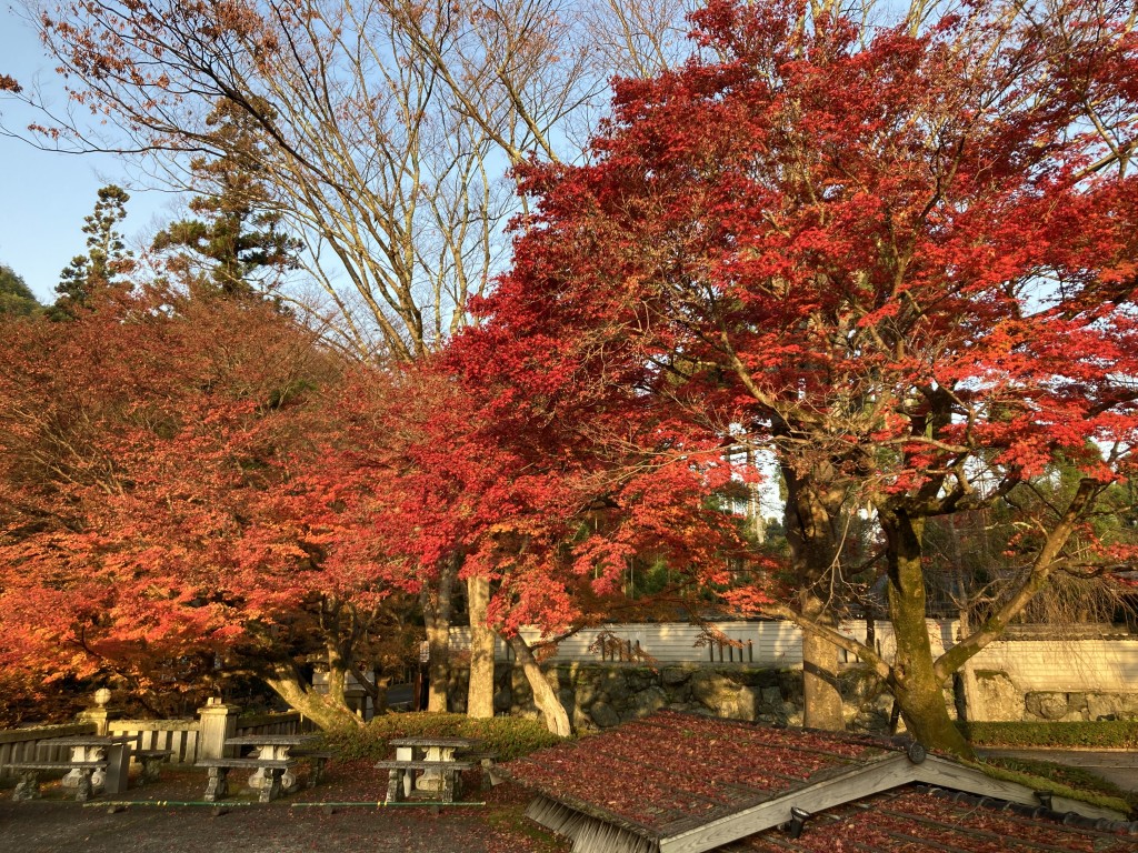 京都 東急ハーヴェスト京都鷹峯 庭園