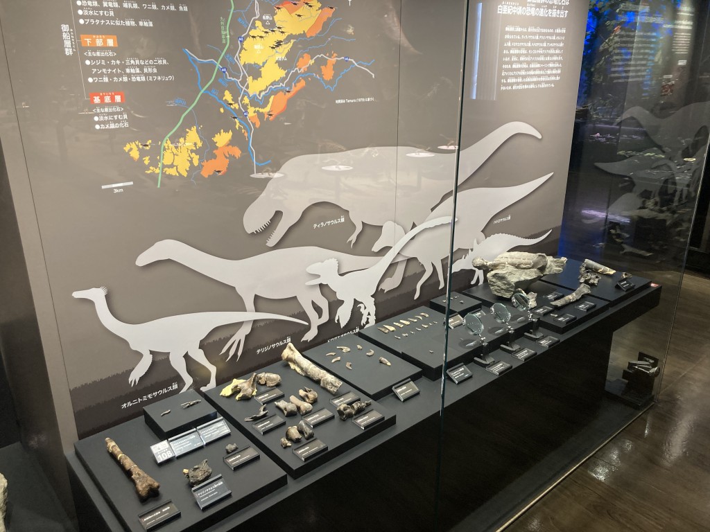 御船町恐竜博物館 貴重な化石